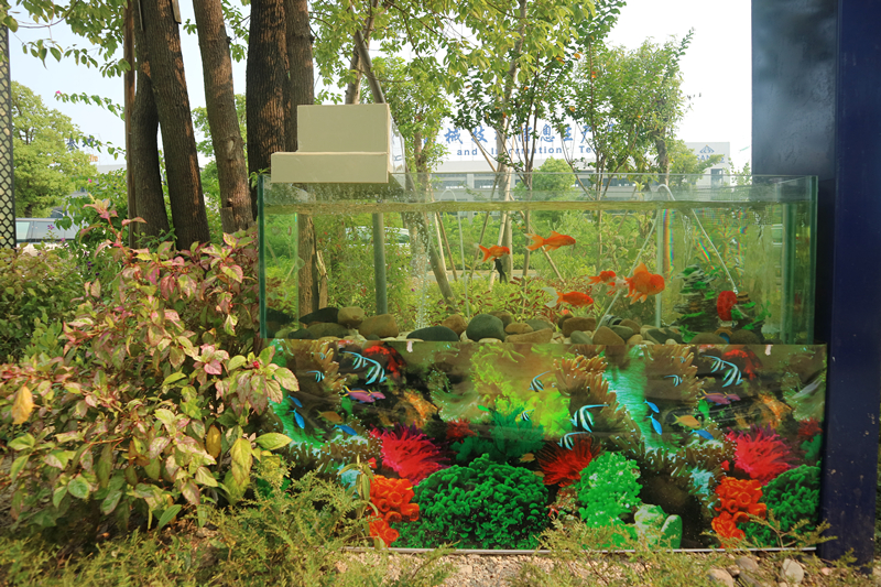 DS智能一體化設備出水養魚.JPG